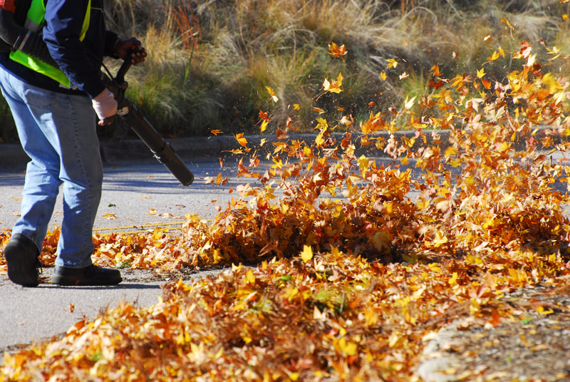 Leaf blowing Services 
